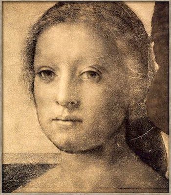 Portrait - Andrea del Sarto